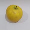 pomme Chanteclerc- belchard