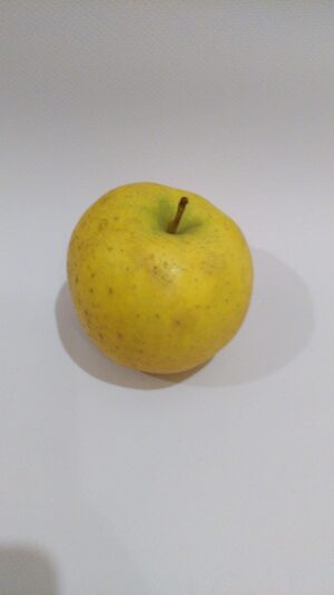 pomme Chanteclerc- belchard