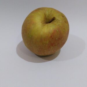 pomme belle de boskoop