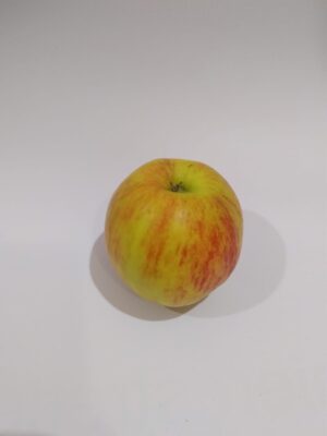 pomme jonagold