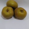 pomme reinette grise du canada