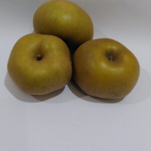 pomme reinette grise du canada