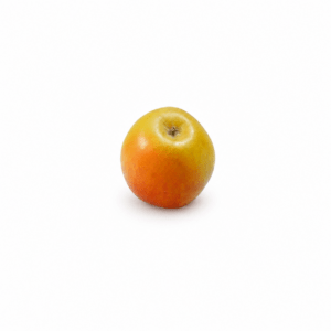 pommier de l'estre