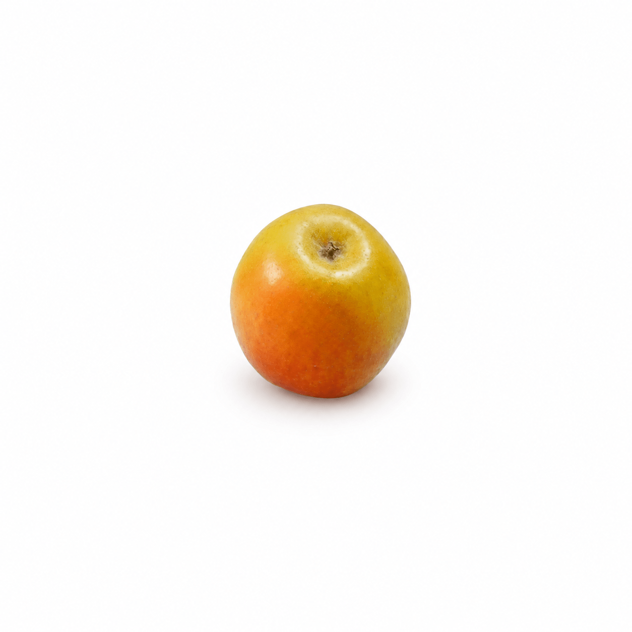 pommier de l'estre pommier de l'estre