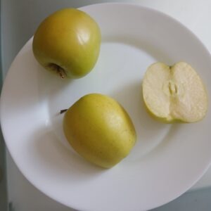 pommier golden