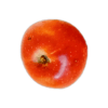 pommier calville rouge de verneuil