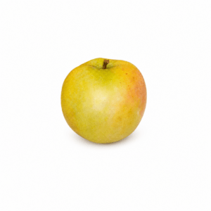 pommier denise
