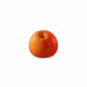 pommier madoue rouge