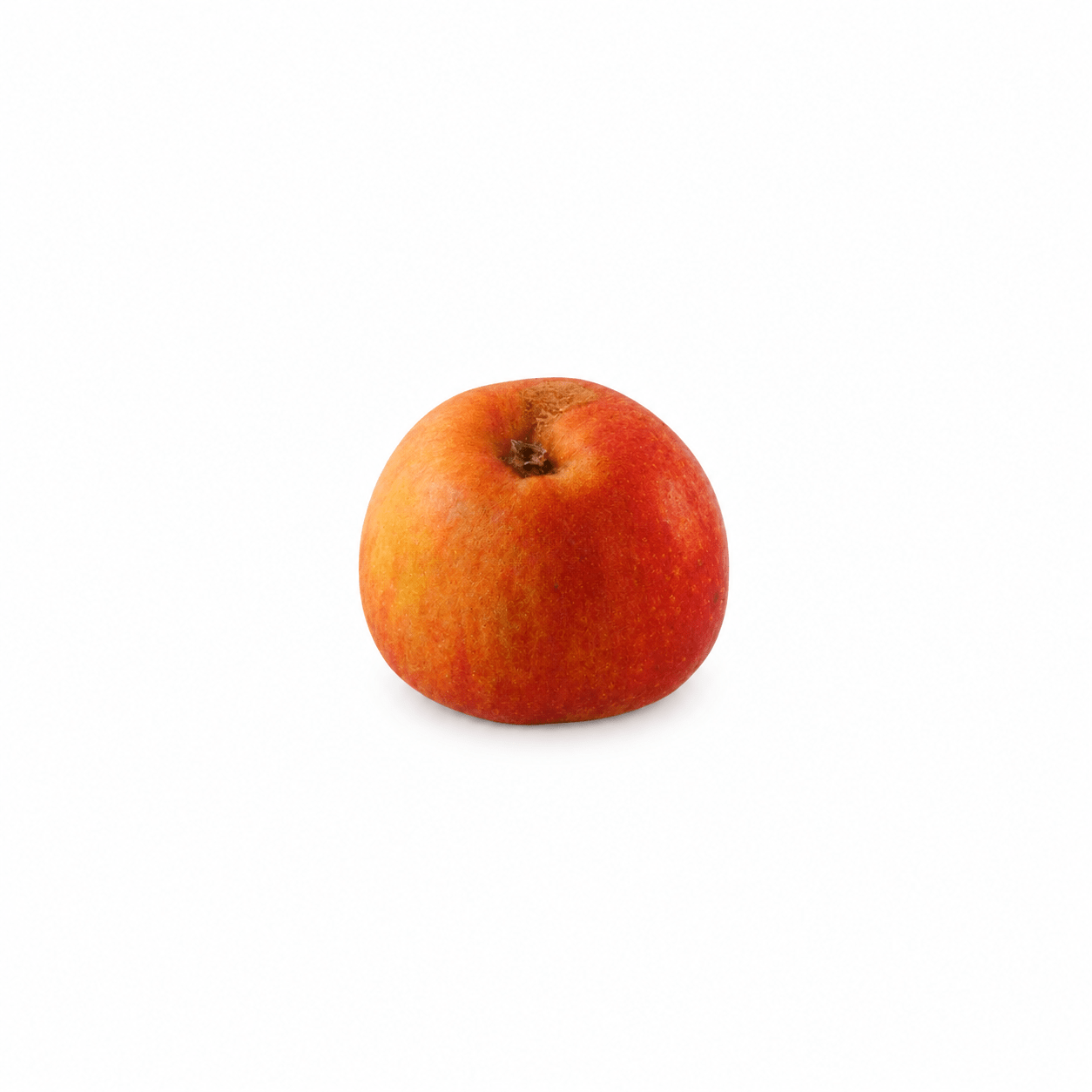 pommier madoue rouge pommier madoue rouge