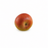 pommier monplaisir