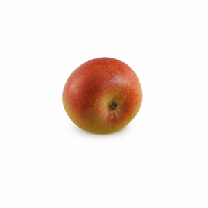 pommier monplaisir