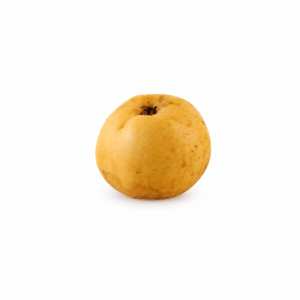 pommier ognon