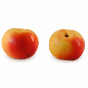pommier pierre